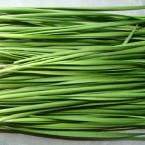 Tác dụng của lá hẹ đối với sức khỏe con người