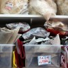 Trung Quốc cấm súp vi cá mập trên bàn tiệc chính phủ