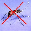 Diệt muỗi khử trùng an toàn cho sức khỏe